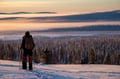 Private tour: Snowshoeing adventure in the Pallas-Ylläs national park
