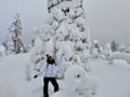 Private tour: Snowshoeing adventure in the Pallas-Ylläs national park