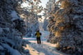 Private tour: Snowshoeing adventure in the Pallas-Ylläs national park