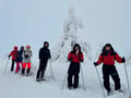 Private tour: Snowshoeing adventure in the Pallas-Ylläs national park