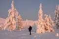Private tour: Snowshoeing adventure in the Pallas-Ylläs national park
