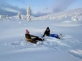 Private tour: Snowshoeing adventure in the Pallas-Ylläs national park