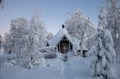 Private tour: Snowshoeing adventure in the Pallas-Ylläs national park