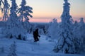 Private tour: Snowshoeing adventure in the Pallas-Ylläs national park