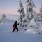 Private tour: Snowshoeing adventure in the Pallas-Ylläs national park