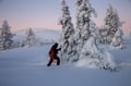Private tour: Snowshoeing adventure in the Pallas-Ylläs national park