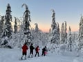 Private tour: Snowshoeing adventure in the Pallas-Ylläs national park