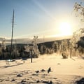 In the Heart of Wilderness