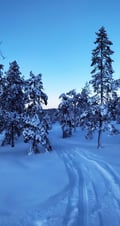 In the Heart of Wilderness