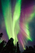 AURORA PRO (short photography expedition)
