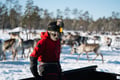 Reindeer herd and Winter Fishing Experience