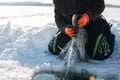 Reindeer herd and Winter Fishing Experience