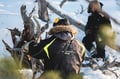 Reindeer herd and Winter Fishing Experience