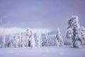 Beautiful frozen landscapes in Finnish Lapland