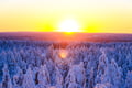 Stunning views of the snowy Taiga forest