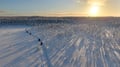3 h electric snowmobile safari in Rovaniemi