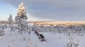 3 h electric snowmobile safari in Rovaniemi