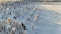3 h electric snowmobile safari in Rovaniemi