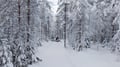 3 h electric snowmobile safari in Rovaniemi