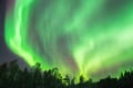Kemijärvi: Insider Guided Aurora Hunting