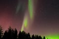 Kemijärvi: Insider Guided Aurora Hunting