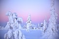 Winter Amethyst Mine Experience in Lapland - Dig Your Own Gemstone