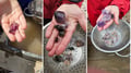 Winter Amethyst Mine Experience in Lapland - Dig Your Own Gemstone