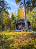 Lakeside Wilderness Escape