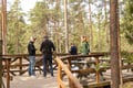 Northern Elegance: Private Reindeer Safari & Fireside Picnic*****