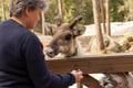 Northern Elegance: Private Reindeer Safari & Fireside Picnic*****