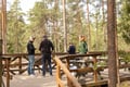 Northern Elegance: Private Reindeer Safari & Fireside Picnic*****