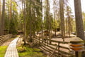 Northern Elegance: Private Reindeer Safari & Fireside Picnic*****