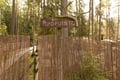 Northern Elegance: Private Reindeer Safari & Fireside Picnic*****