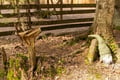 Northern Elegance: Private Reindeer Safari & Fireside Picnic*****