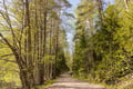 Northern Elegance: Private Reindeer Safari & Fireside Picnic*****