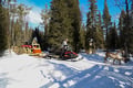 Reindeer Herder’s Day in the Wilderness with a Snowmobile sled, Levi