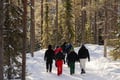 Kemijärvi: Insider Korouoma Frozen Waterfalls