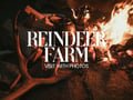 Reindeer Farm Visit with Photos