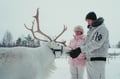 Reindeer Farm Visit with Photos