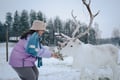 Reindeer Farm Visit with Photos