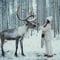 Reindeer Farm Visit with Photos 