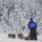 Husky Adventure with 6-10KM Husky Safari