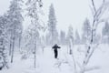 Backcountry skiing adventure in Levi