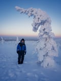 Riisitunturi & Frozen Waterfall Full Day Tour with Photos