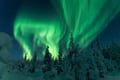 Northern Lights Photography Hunting Experience in Rovaniemi