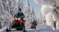 Easy Snowmobile Safari