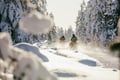 Thrill of Snowmobiling for Adults Only