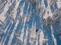 Thrill of Snowmobiling for Adults Only