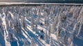 Easy Snowmobile Safari