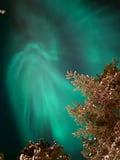 Northern Lights in Peace and Privacy